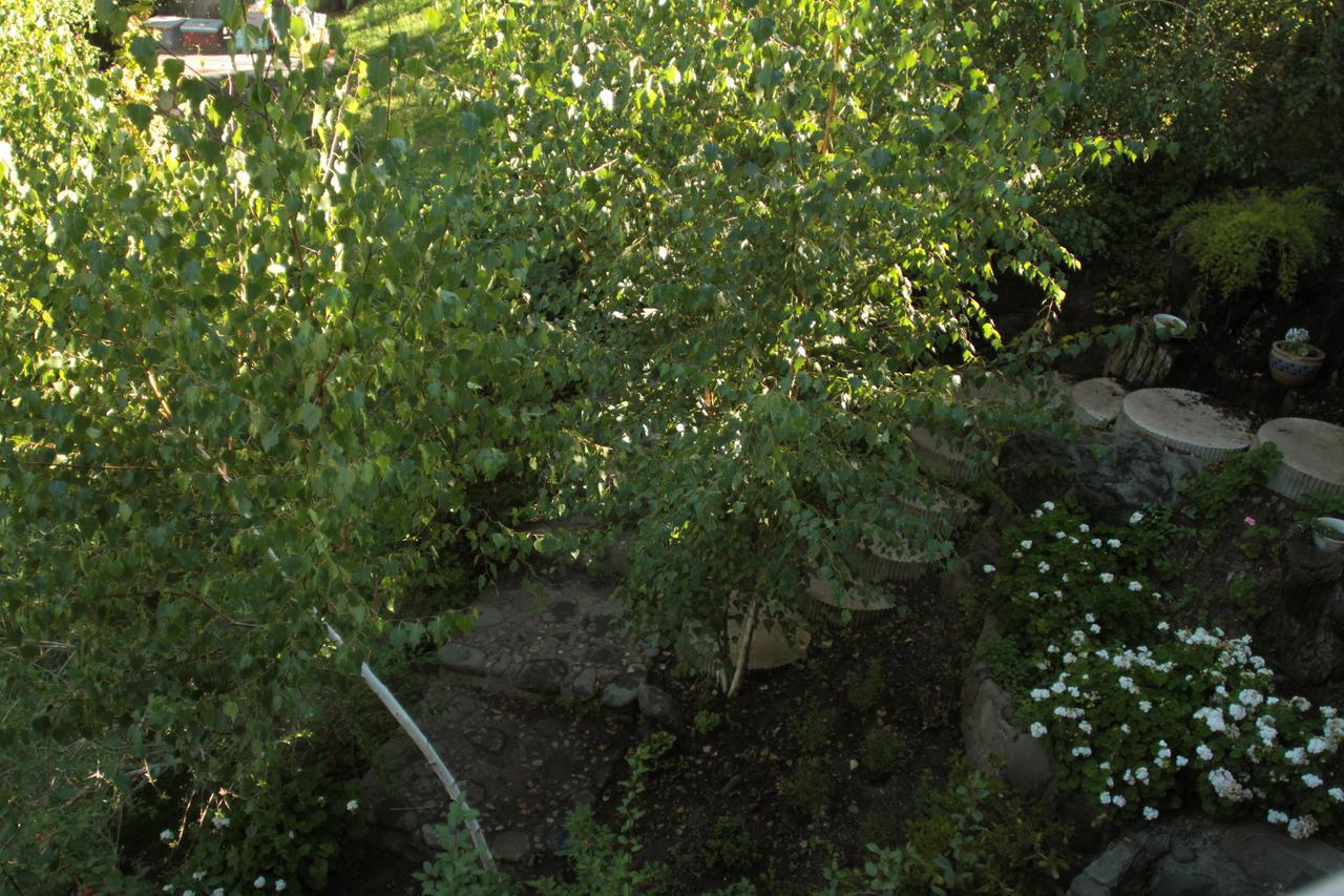 Loft Del Rio Διαμέρισμα Cajon Del Maipo Εξωτερικό φωτογραφία